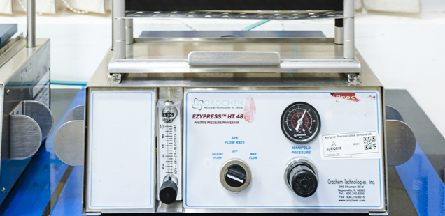 In vivo Pharmacokinetics