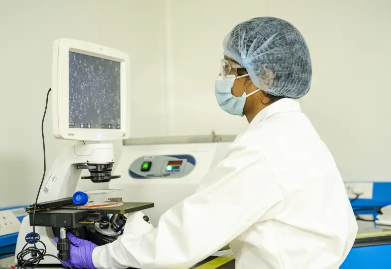 mRNA Synthesis IVT (In vitro Transcription)