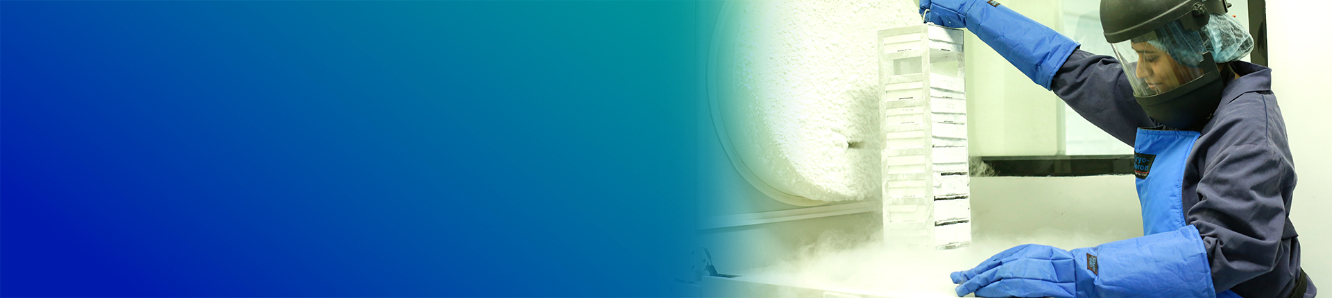 Cell Line Engineering