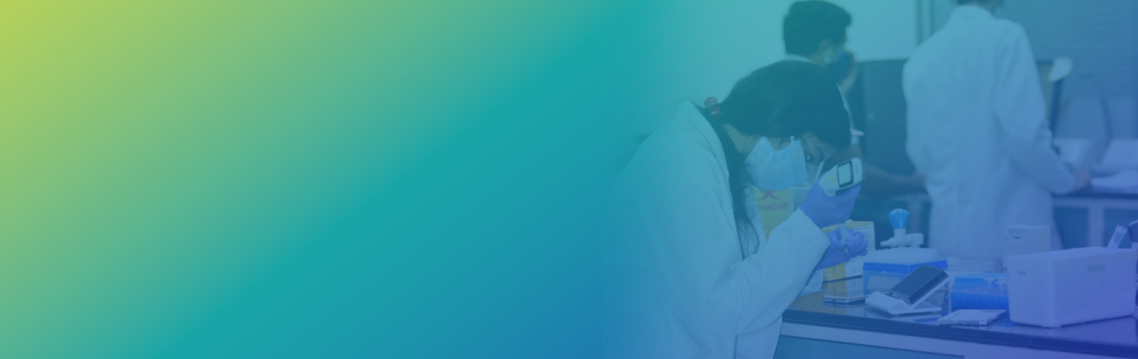 In vitro Assay development