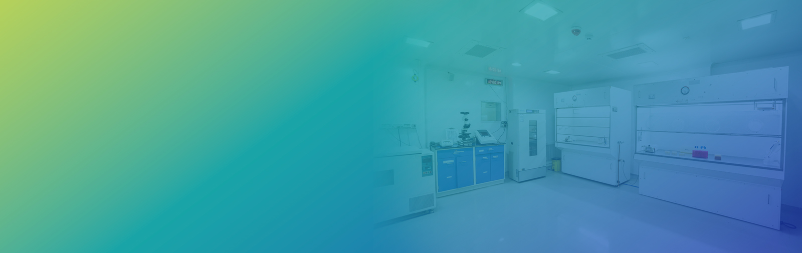 Pharmaceutical Microbiology Testing