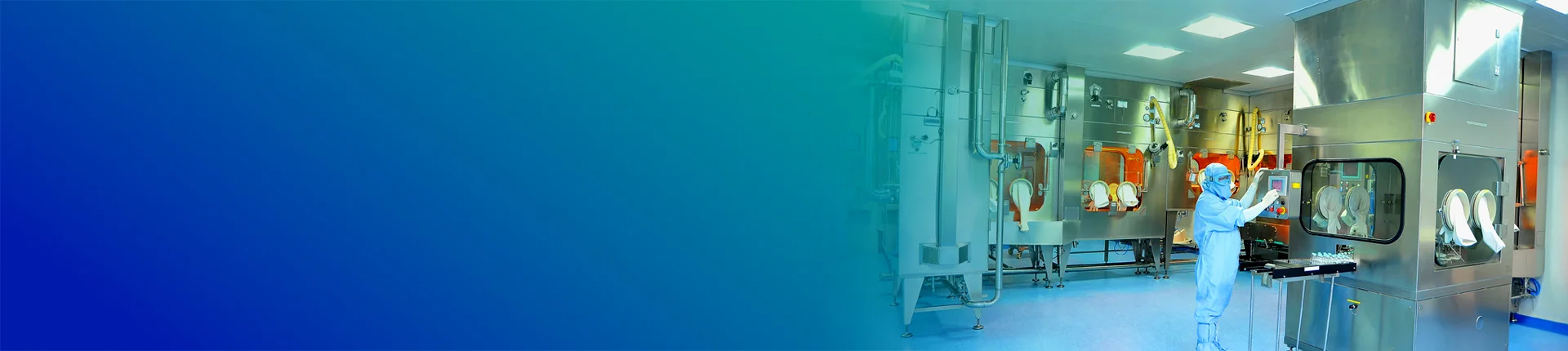 Small Molecule CDMO Services