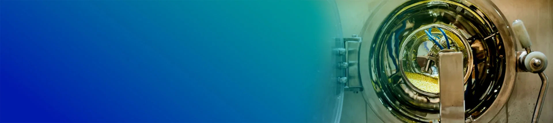 Formulation Services