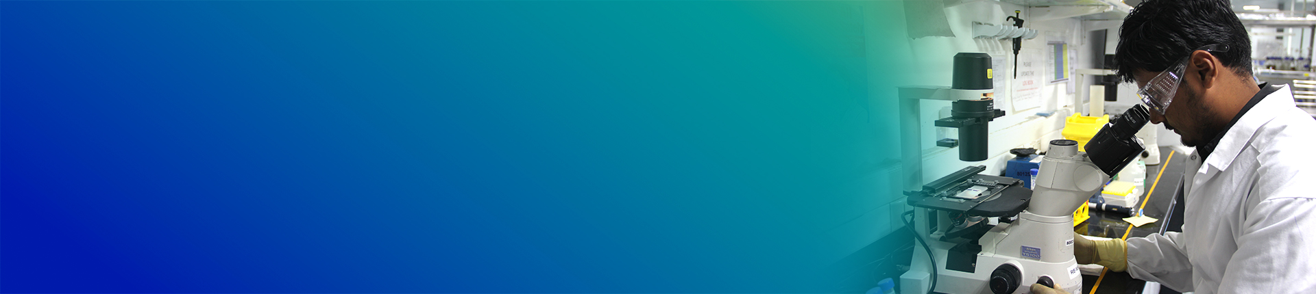 mAb and Protein Therapeutics