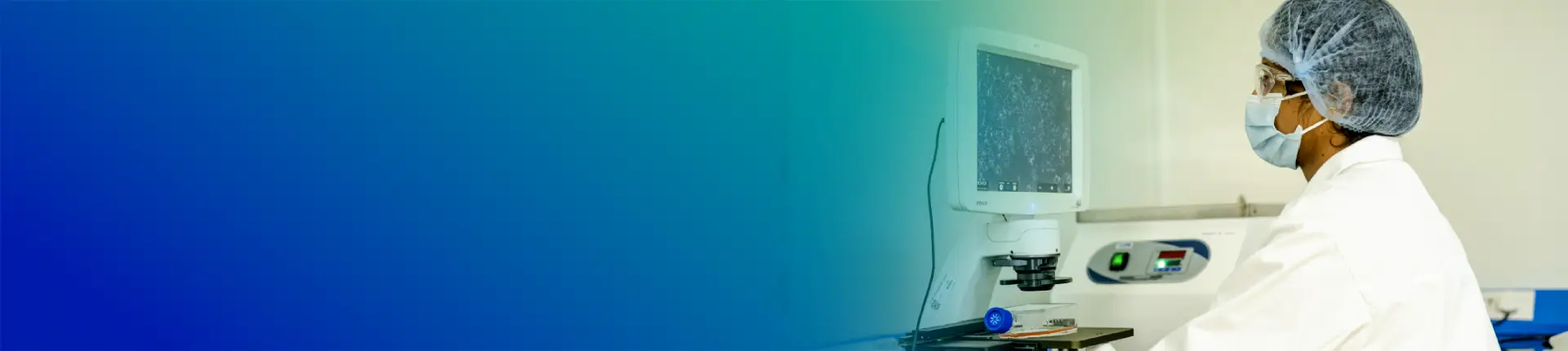 mRNA Synthesis IVT (In vitro Transcription)