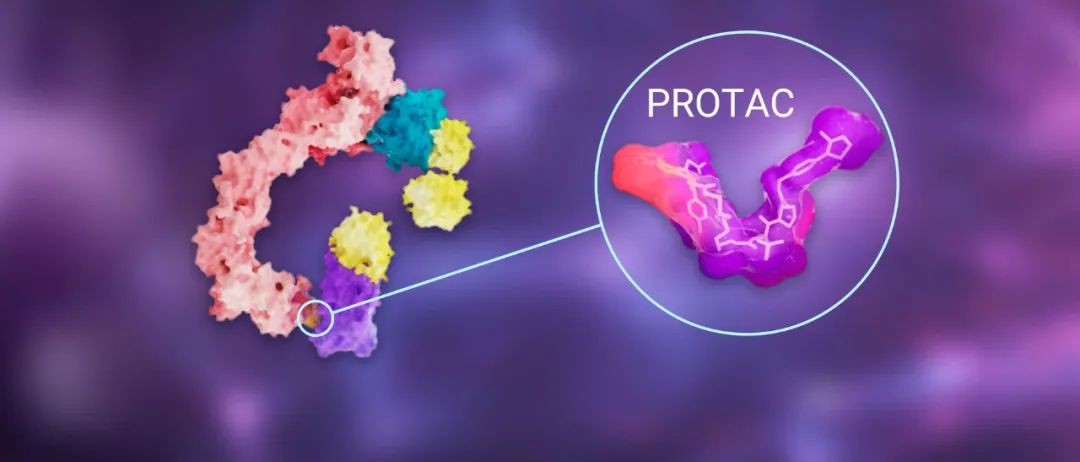 Protac