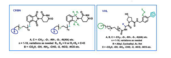 pharmacokinetic Studies