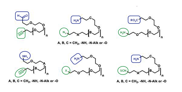 pharmacokinetic Studies