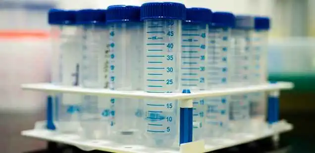 Purification process Testing