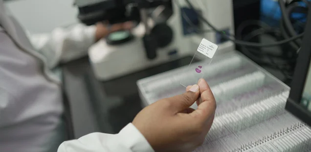 Antibody discovery programs