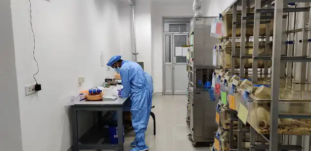 CDMO Male Fertility Study and Services