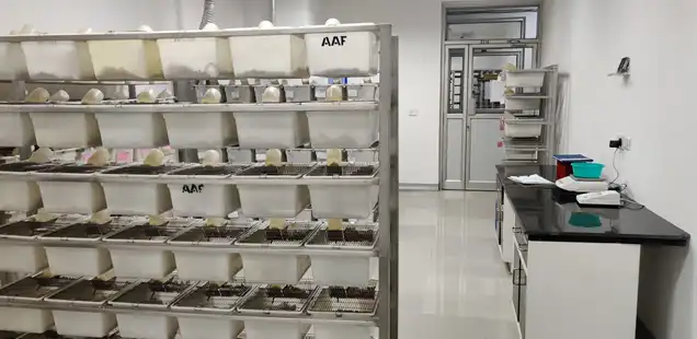 Male Fertility Screening And Evaluation