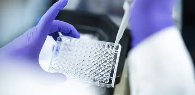 Molecular Biology Testing in the Lab