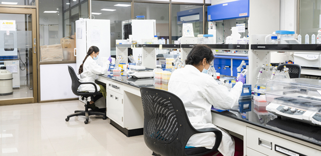 pharmacokinetic Studies