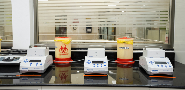 pharmacokinetic Studies