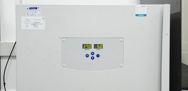 pharmacokinetic Studies